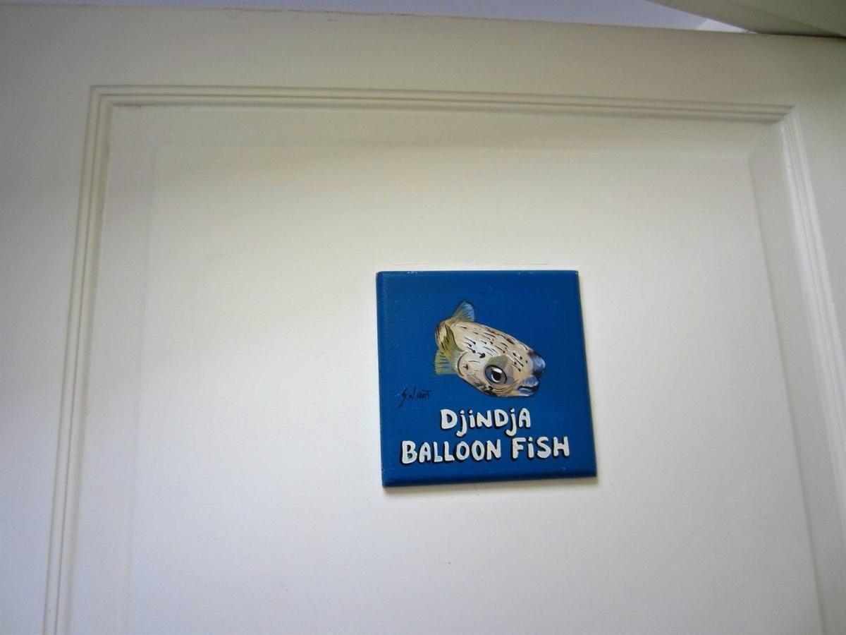 Den Laman - Balloonfish Playa Eksteriør bilde